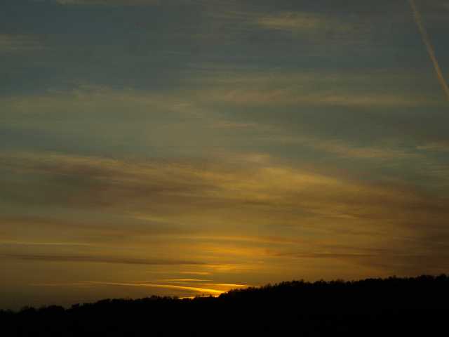 P3122425.JPG