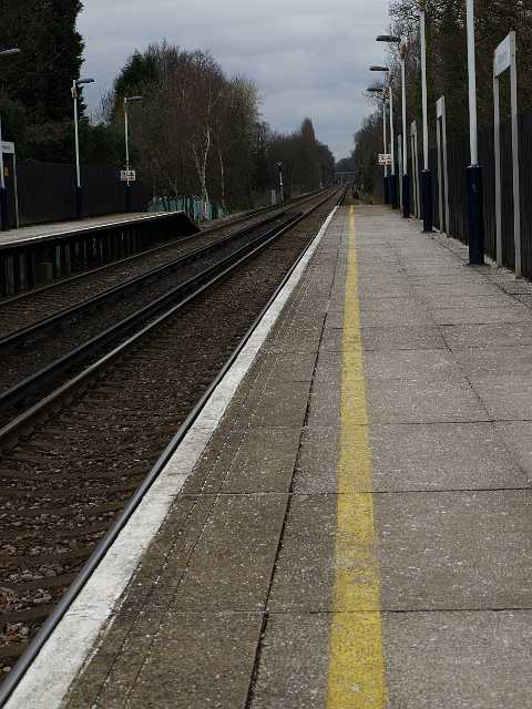 P3182464.JPG