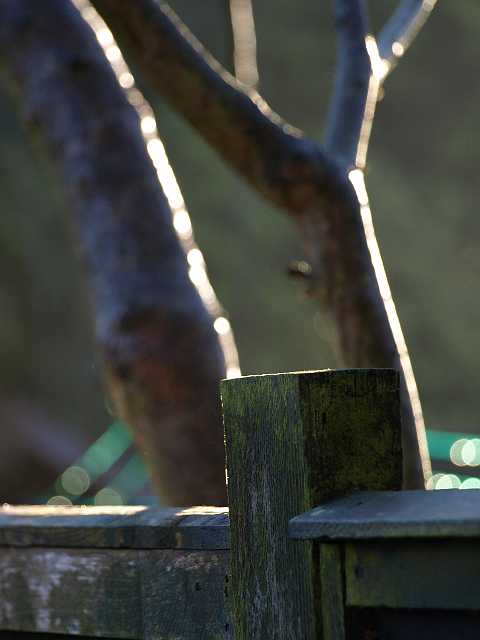 P3272624.JPG