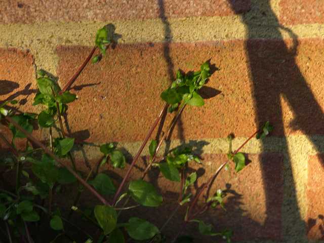 P3272648.JPG