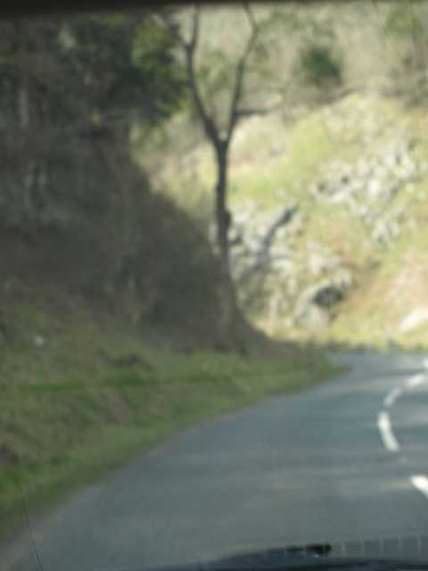 P4152995.JPG