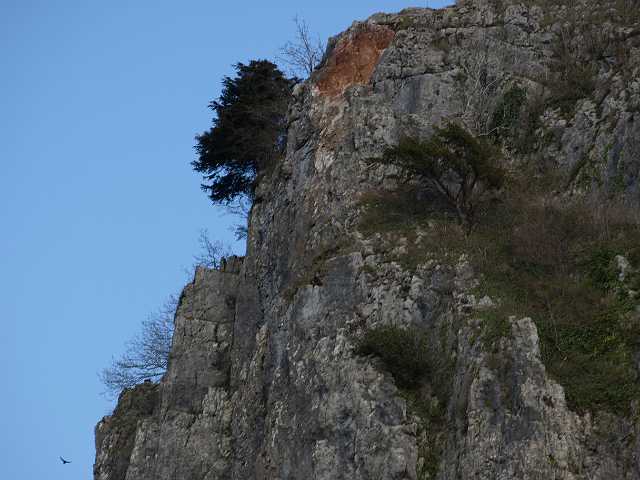 P4153014.JPG