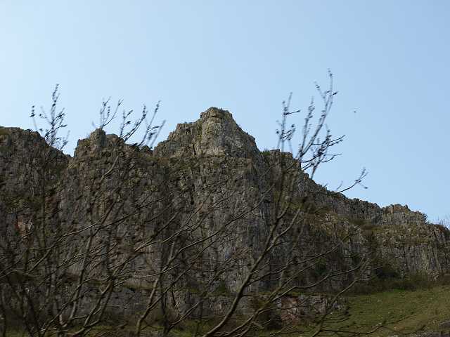 P4153020.JPG