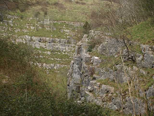 P4153022.JPG