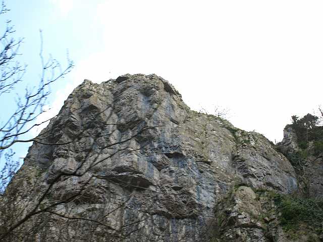 P4153037.JPG