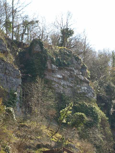 P4153052.JPG