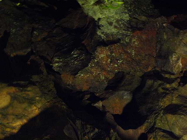 P4153160.JPG