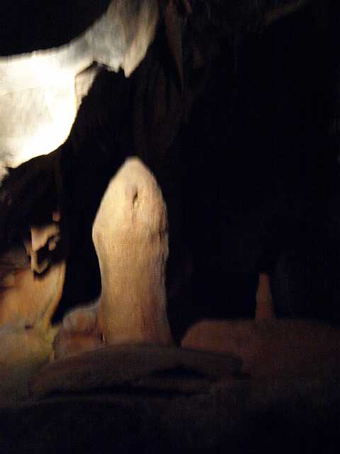 P4153202.JPG