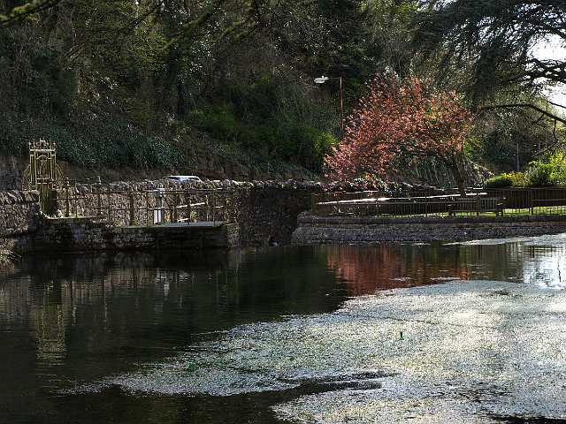 P4153242.JPG