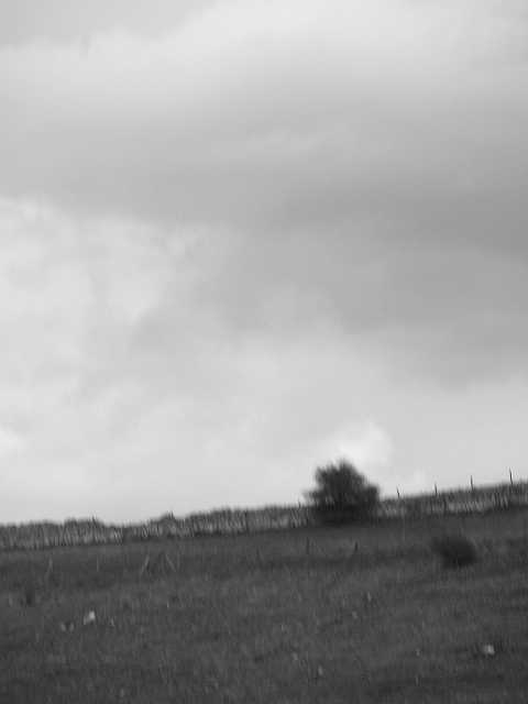 P4153273.JPG