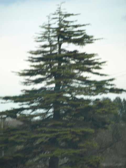 P4153294.JPG
