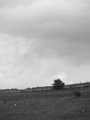 P4153273