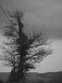 P4153300