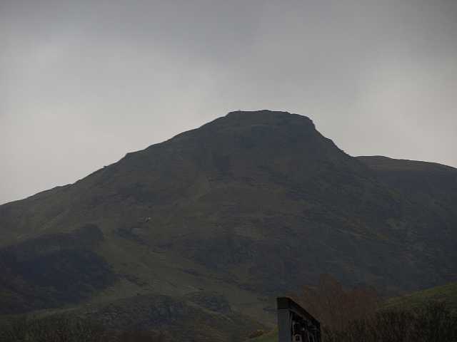 P4183352.JPG