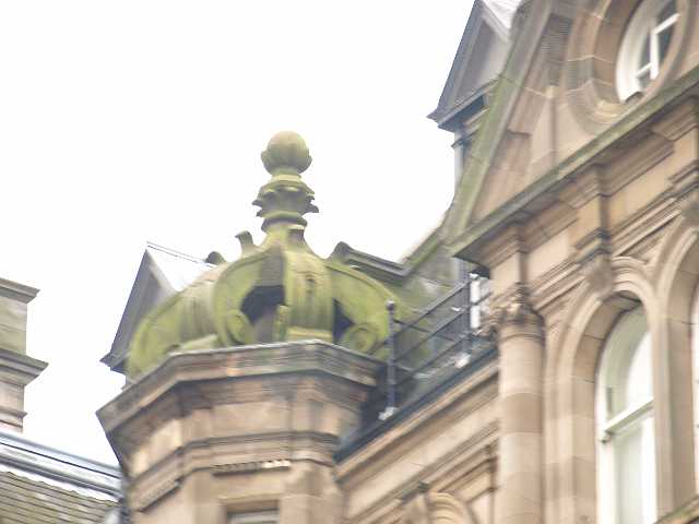 P4183382.JPG