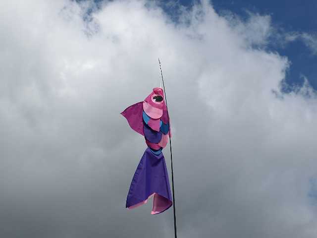 P5254247.JPG