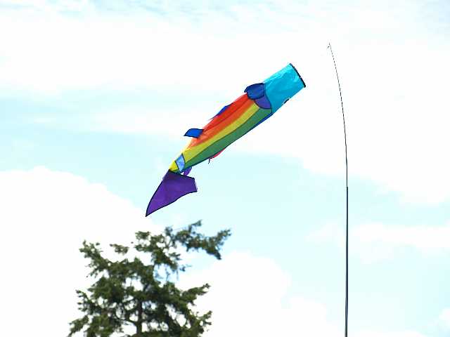 P5254263.JPG