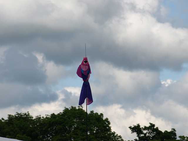P5254329.JPG