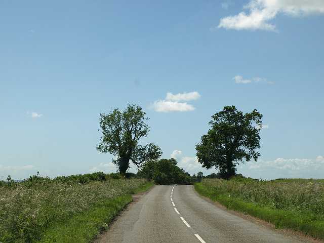 P6194735.JPG