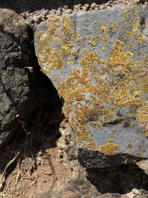 P6194743.JPG