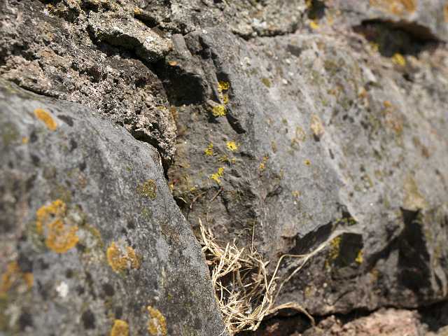P6194746.JPG