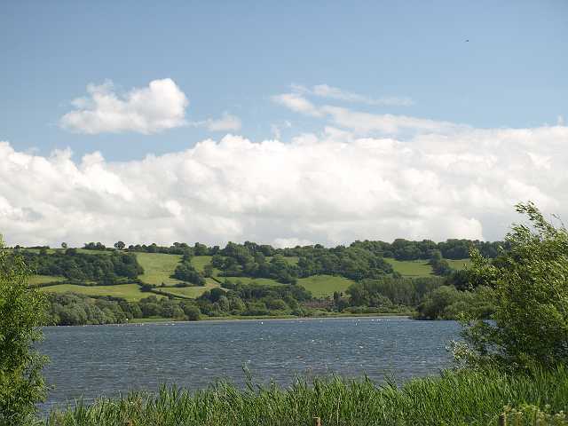 P6194775.JPG