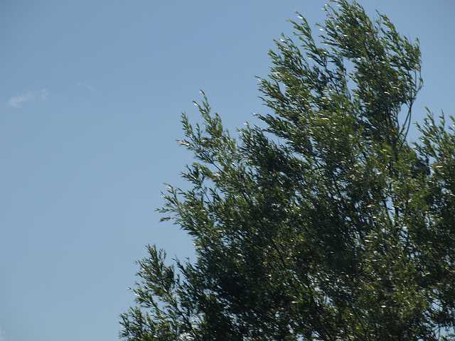 P6194781.JPG