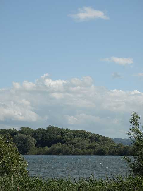 P6194782.JPG