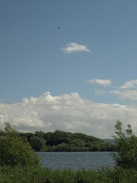 P6194783.JPG