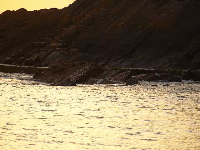 P6194800.JPG