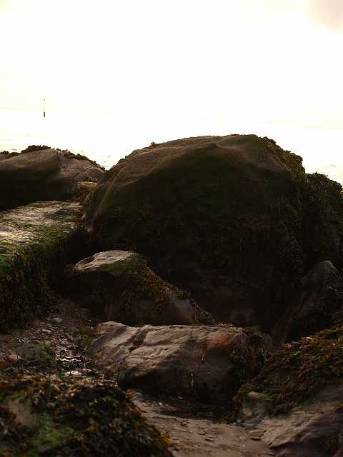 P6194804.JPG