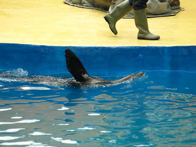 P6215726.JPG