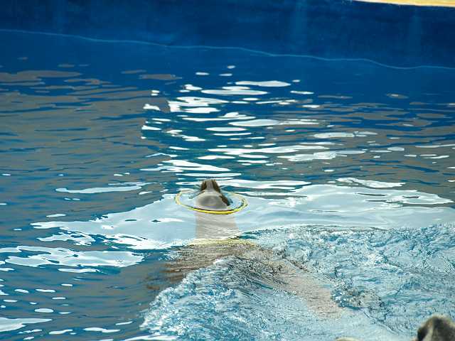 P6215762.JPG