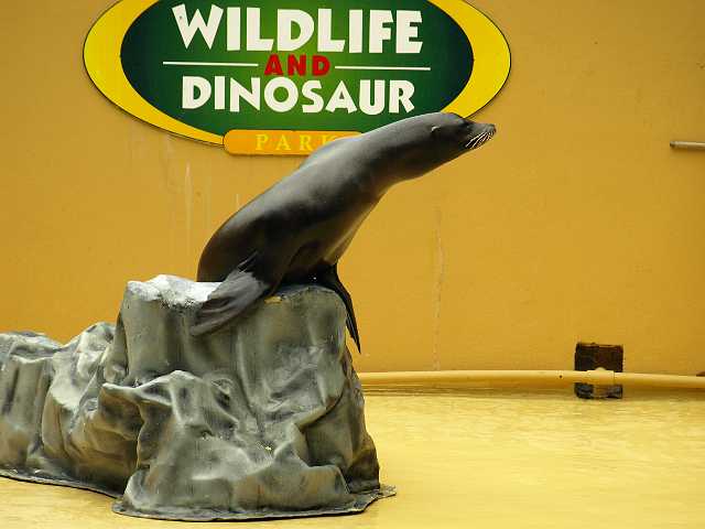 P6215810.JPG
