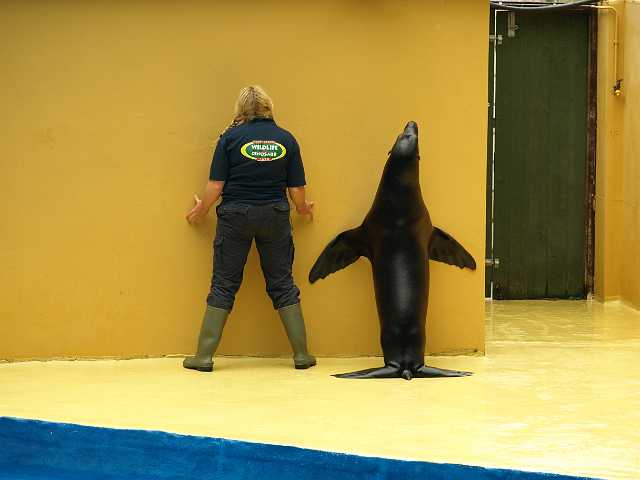 P6215878.JPG