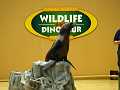P6215911
