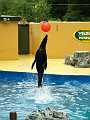 P6215954